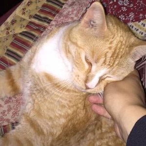 Meet your Posher, Renetta